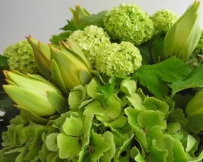 Blumen Abo