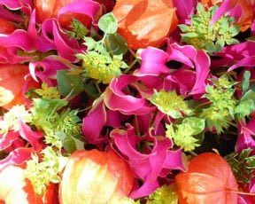blumeninszenierung