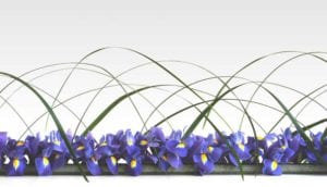 blumeninszenierung