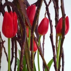 blumeninszenierung