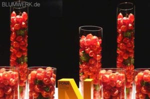 blumeninszenierung