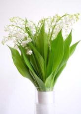 Blumenstrauss