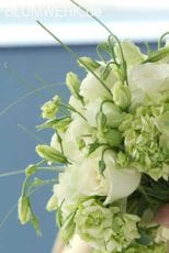 Blumenstrauss