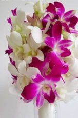 Blumenstrauss