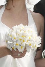 Blumenstrauss